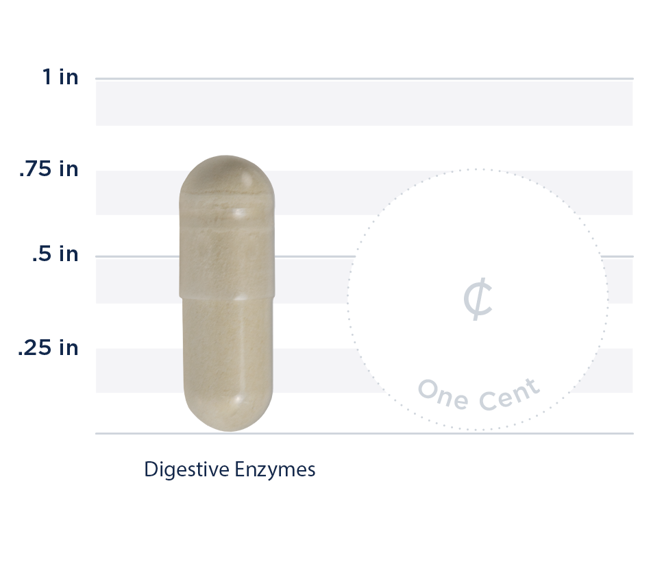 Digestive Enzymes